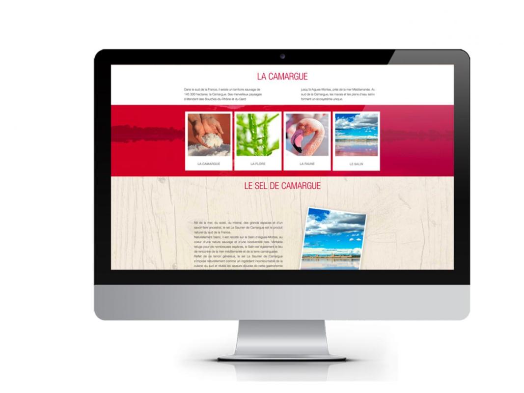 photo portfolio Le Saunier de Camargue